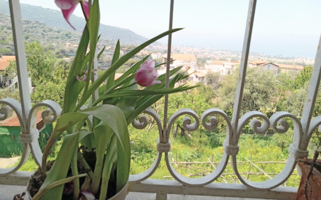 Trame quotidiane / Per fare tutto, ci vuole un fiore